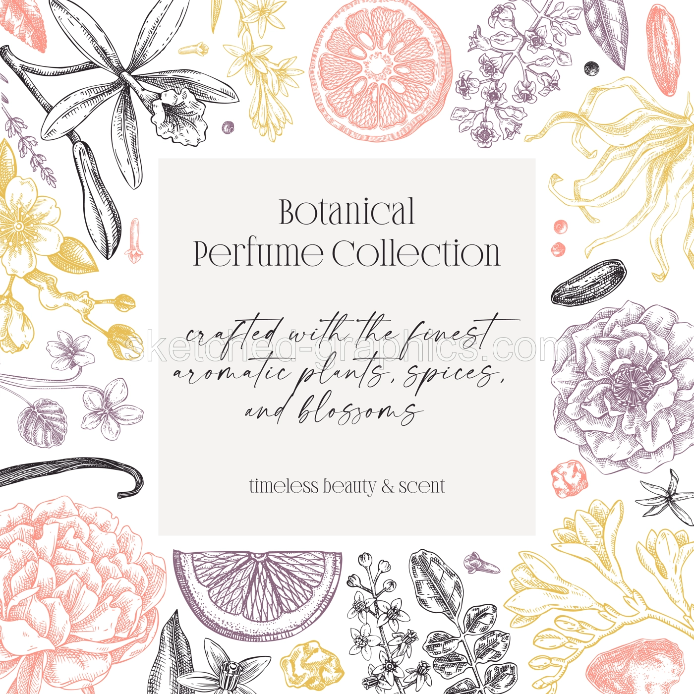 Perfumery ingredients frame design. Aromatic plants and flowers hand drawn vector illustration. Gift card, floral invitation, book cover, flyer template. NOT AI generated Illustration